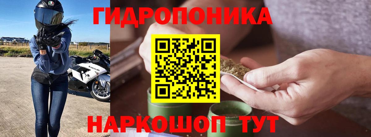 Бошки марихуана MAZAR Кемерово